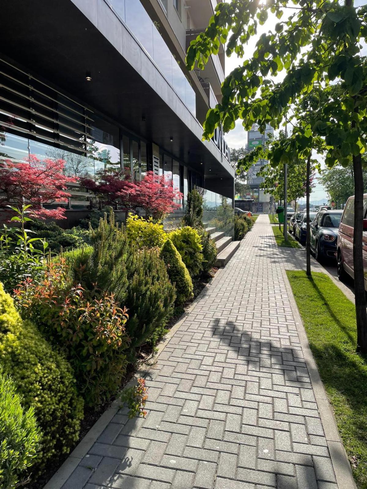 Alto Studio & Free Private Parking Брашов Екстер'єр фото