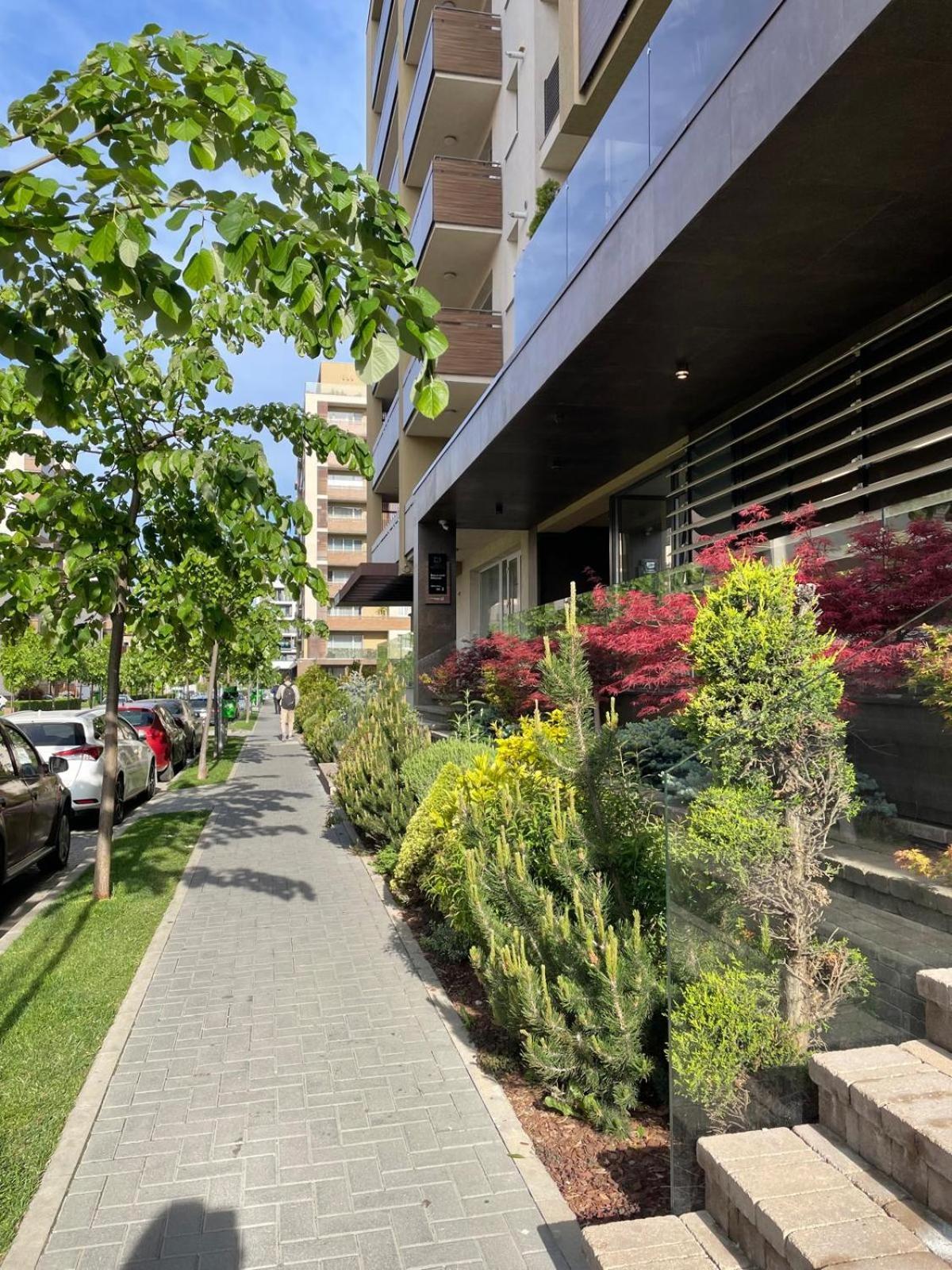 Alto Studio & Free Private Parking Брашов Екстер'єр фото