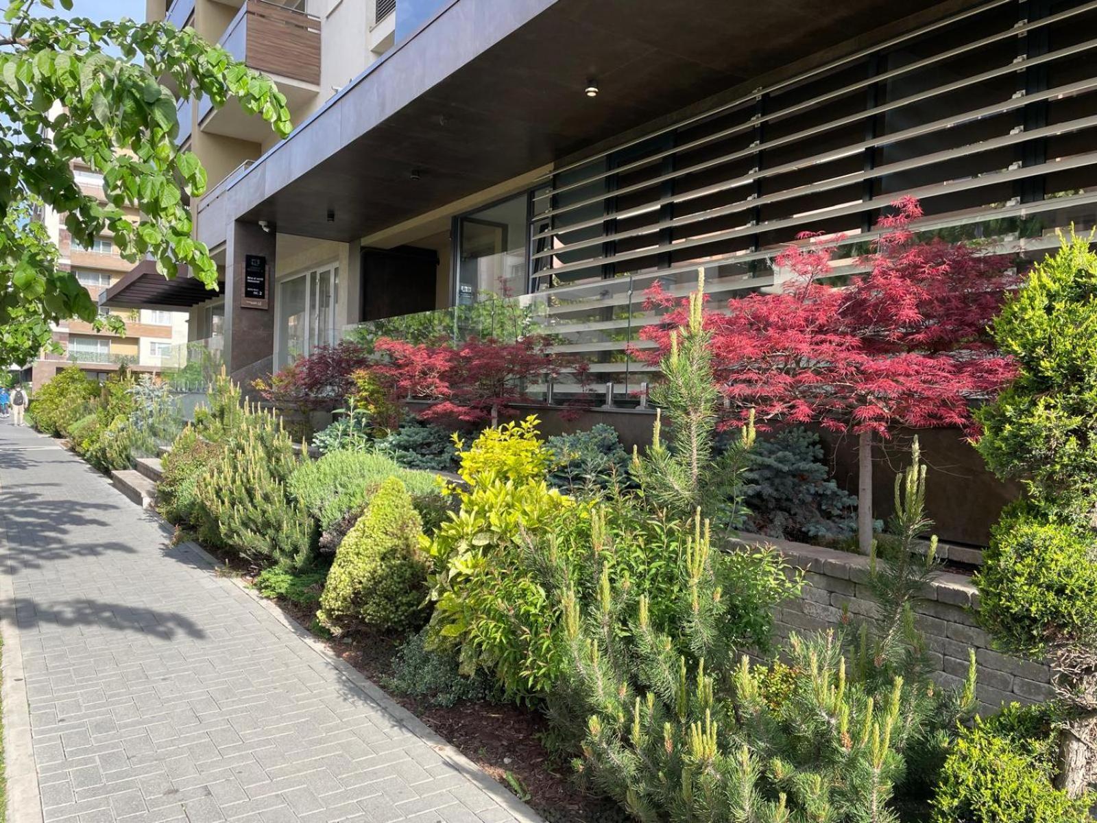 Alto Studio & Free Private Parking Брашов Екстер'єр фото